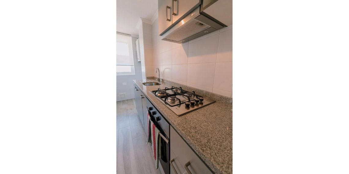 Proyecto Parque Pucon Oriente de Inmobiliaria Domus-3