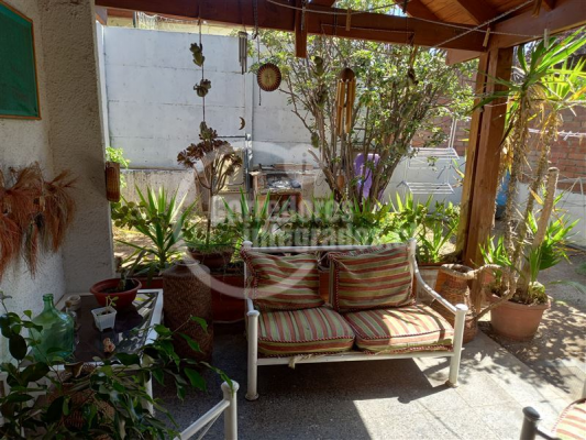 -19