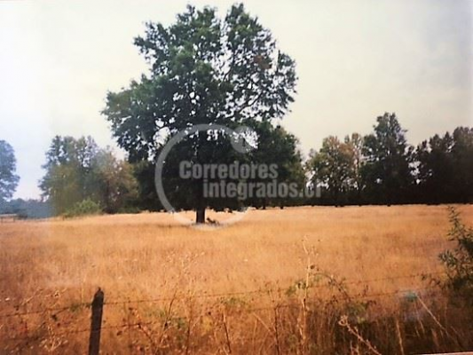 104099814-5