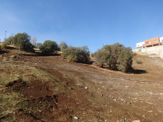 104092635-8