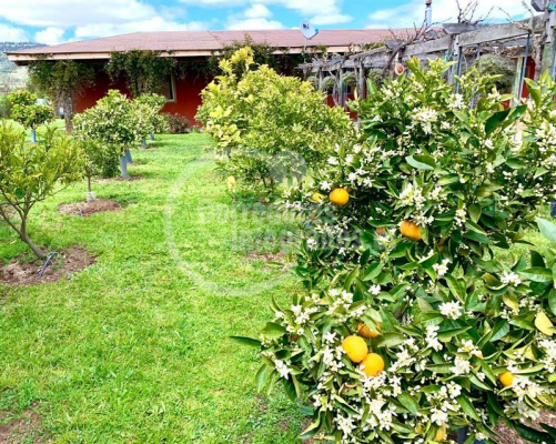-1