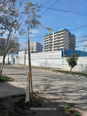 116047921-5