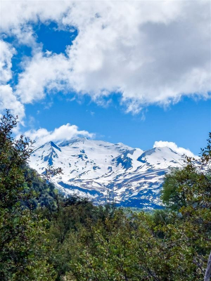 -1