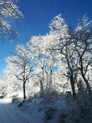 -12