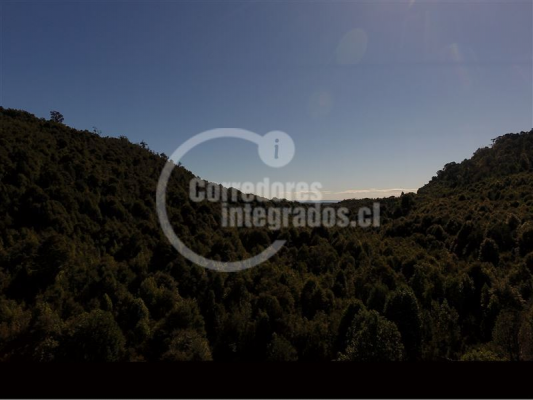 110104869-6