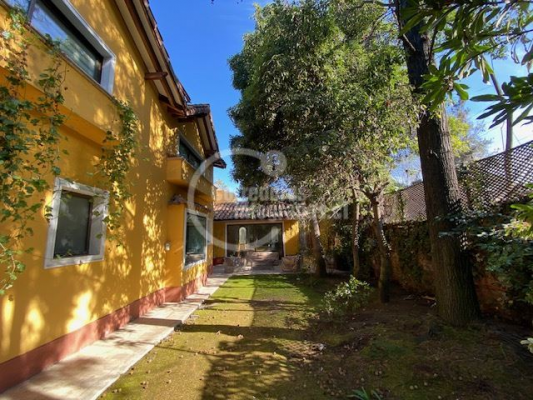 -18