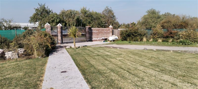 -20