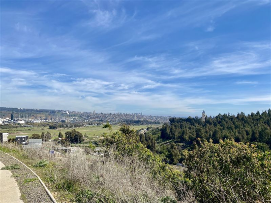 104073886-8