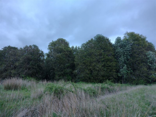 114076442-8