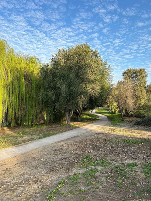 8444-3