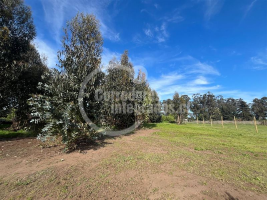 -11