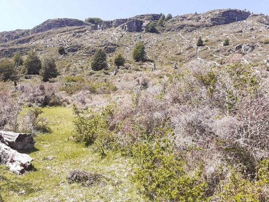-7