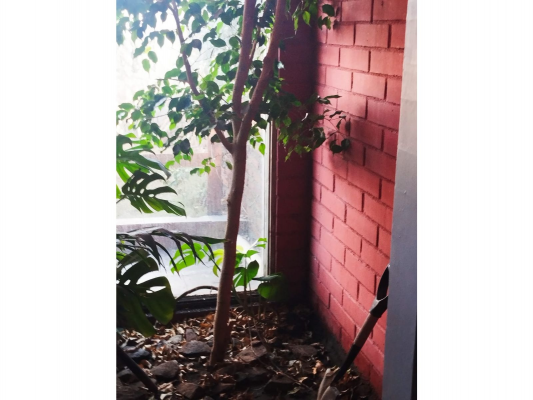 335116-8