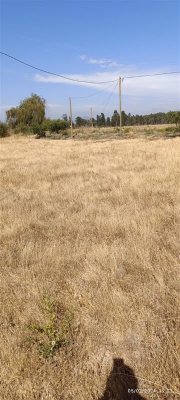 114057633-3