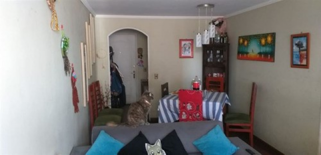 -11