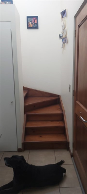 -20