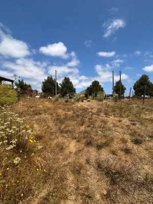 venta-sitios-algarrobo-(68853)-4