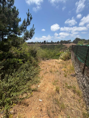 venta-sitios-algarrobo-(68853)-7