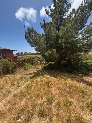venta-sitios-algarrobo-(68853)-8