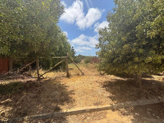 venta-sitios-algarrobo-(68853)-9
