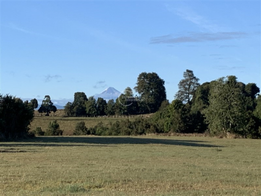 114106631-9