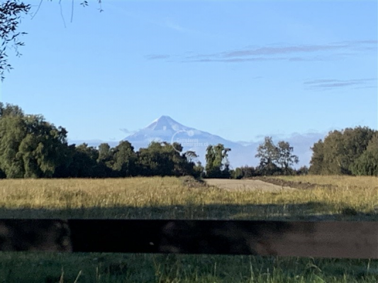 114106641-7
