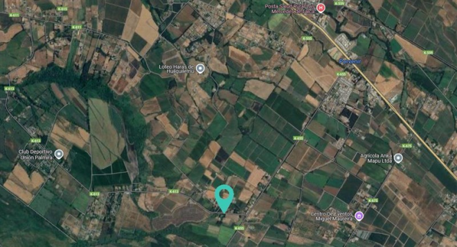 116119296-8