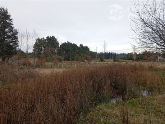 -10