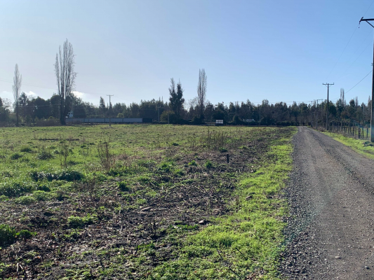 venta-hermosas-parcelas-7,5-km-los-angeles-(71-8