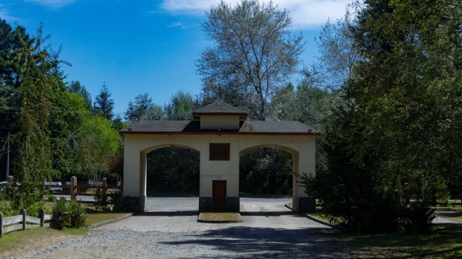 exclusivas-parcelas-lago-villarrica-(84510)-6