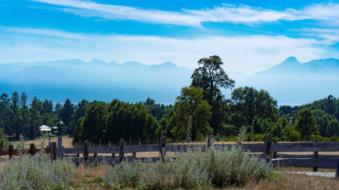 exclusivas-parcelas-lago-villarrica-(84510)-7