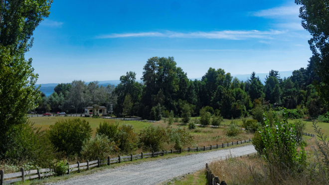 exclusivas-parcelas-lago-villarrica-(84510)-8