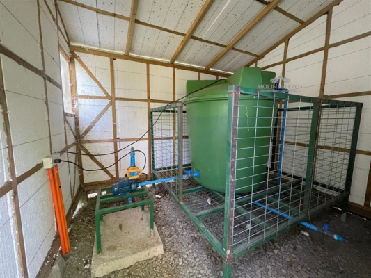 -16