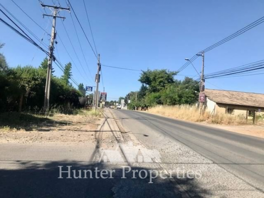 -19