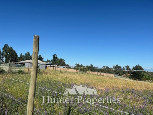 -13