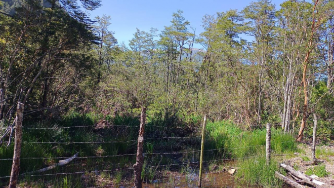 venta-de-parcela-sector-bahia-acantilada-(80334)-7