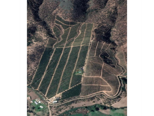 396489-5