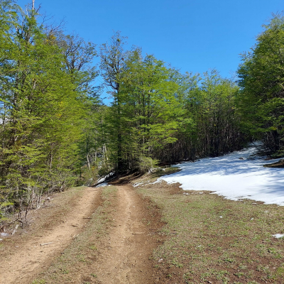 terreno-35000m²-en-villa-ortega,-coyhaique-(79-3