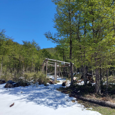 terreno-35000m²-en-villa-ortega,-coyhaique-(79-5
