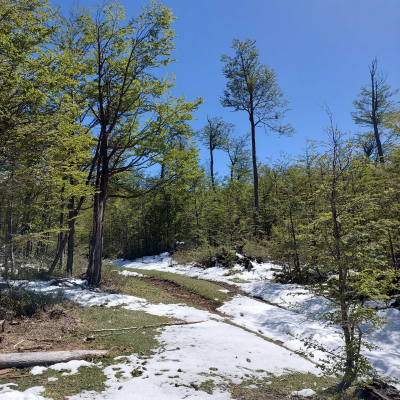 terreno-35000m²-en-villa-ortega,-coyhaique-(79-7