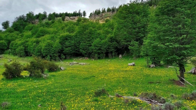 venta-de-terreno-en-lago-polux,-coyhaique-(72941)-3