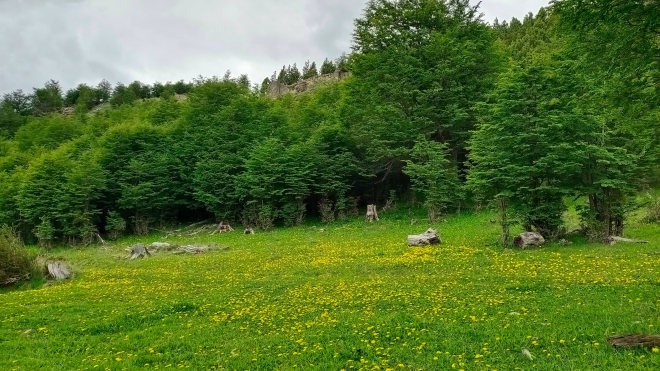 venta-de-terreno-en-lago-polux,-coyhaique-(72941)-4