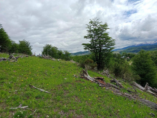 venta-de-terreno-en-lago-polux,-coyhaique-(72941)-5