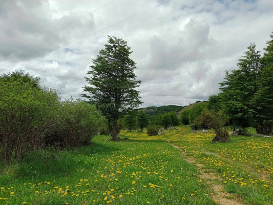 venta-de-terreno-en-lago-polux,-coyhaique-(72941)-6