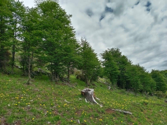 venta-de-terreno-en-lago-polux,-coyhaique-(72941)-7