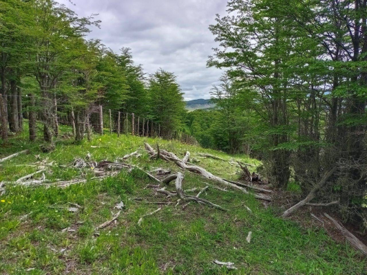 venta-de-terreno-en-lago-polux,-coyhaique-(72941)-8