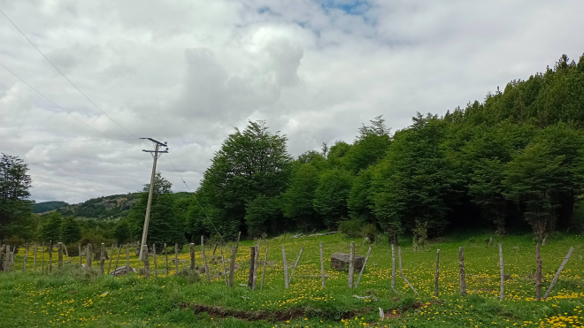 venta-de-terreno-en-lago-polux,-coyhaique-(72941)-9