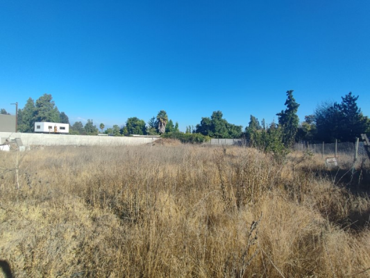 39231-4