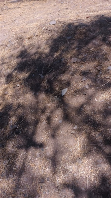 104107120-7