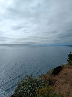 104063484-4